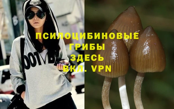 ГАЛЛЮЦИНОГЕННЫЕ ГРИБЫ Алзамай