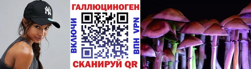 мега ссылки  Пошехонье  Галлюциногенные грибы Psilocybe 
